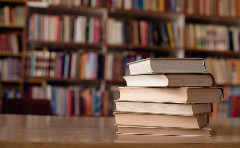 Ihr nächstes Abenteuer wartet: Neue Titel im Rampenlicht.